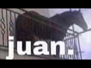 Meet your Posher, Jeremy